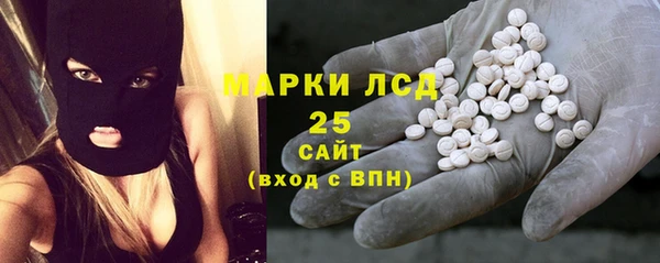 индика Беломорск