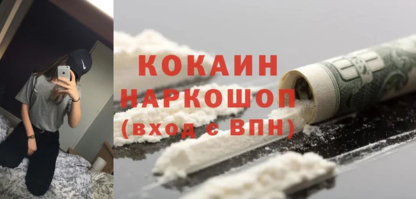 индика Беломорск
