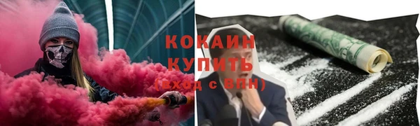 индика Беломорск