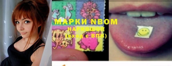PSILOCYBIN Белокуриха