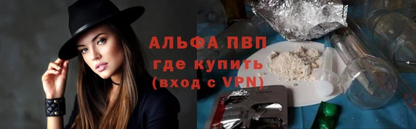 индика Беломорск