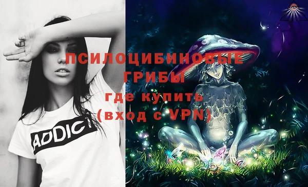индика Беломорск