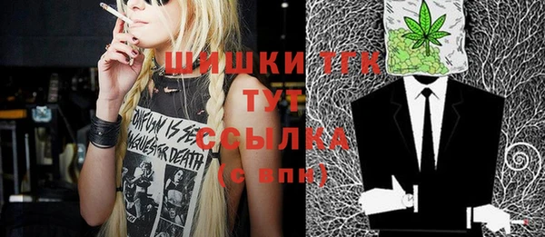 индика Беломорск