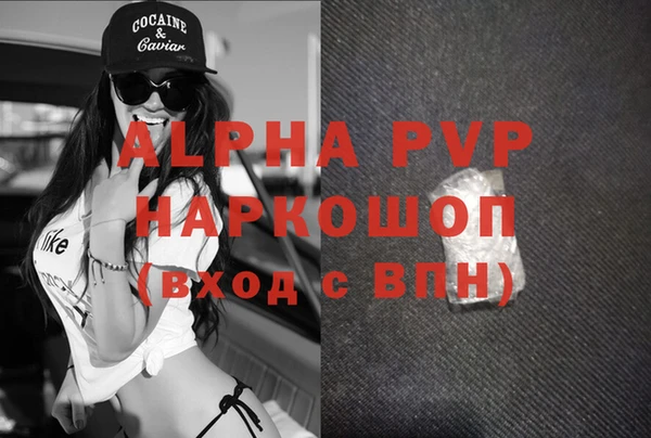 PSILOCYBIN Белокуриха