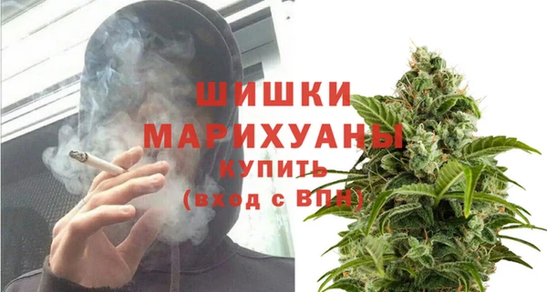 индика Беломорск