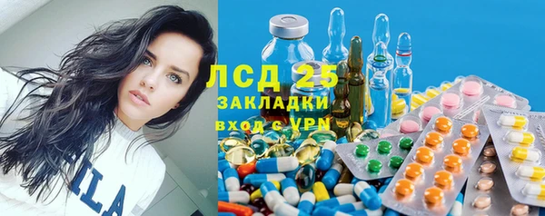PSILOCYBIN Белокуриха