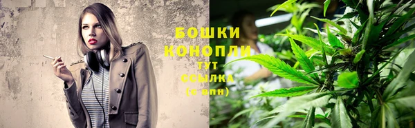 PSILOCYBIN Белокуриха