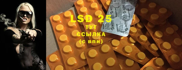 PSILOCYBIN Белокуриха