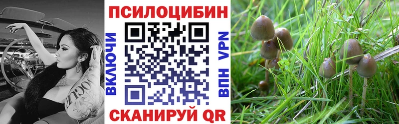 продажа наркотиков  Малмыж  Псилоцибиновые грибы прущие грибы 